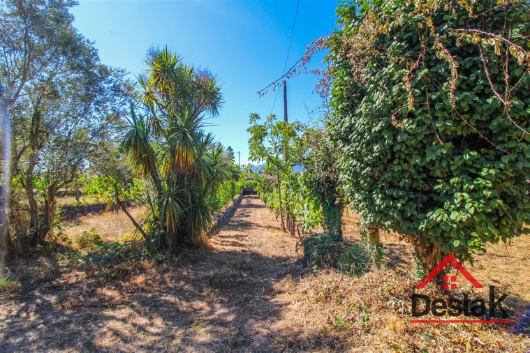 Quinta T0 para Venda em Santa Cruz da Trapa e São Cristóvão de Lafões Foto 9
