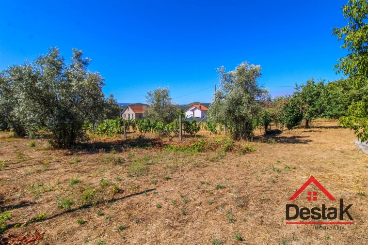 Quinta T0 para Venda em Santa Cruz da Trapa e São Cristóvão de Lafões Foto 47