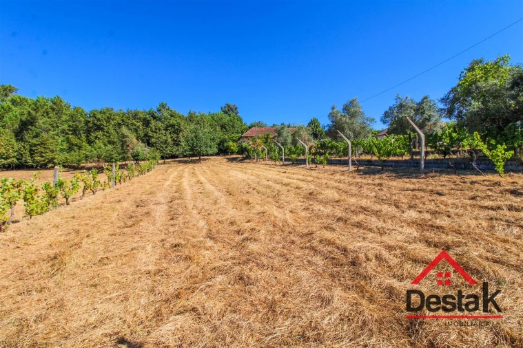 Quinta T0 para Venda em Santa Cruz da Trapa e São Cristóvão de Lafões Foto 15