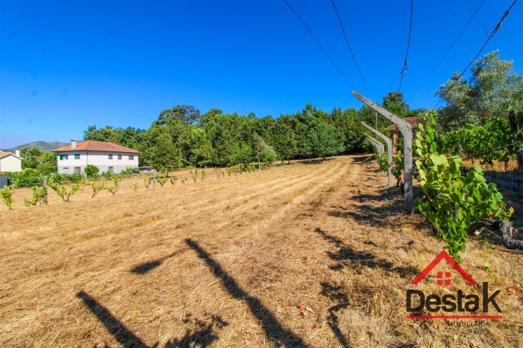 Quinta T0 para Venda em Santa Cruz da Trapa e São Cristóvão de Lafões Foto 8
