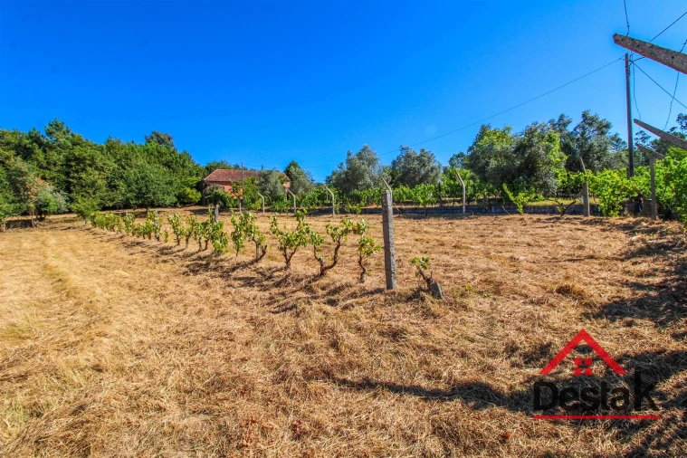 Quinta T0 para Venda em Santa Cruz da Trapa e São Cristóvão de Lafões Foto 21