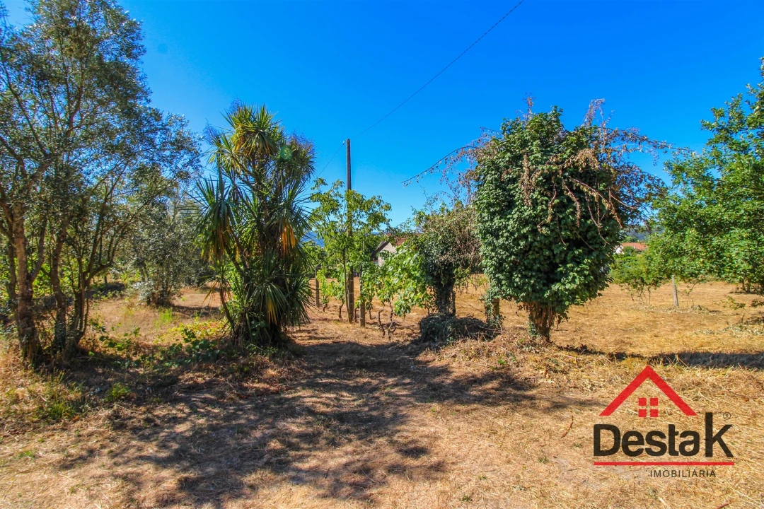 Quinta T0 para Venda em Santa Cruz da Trapa e São Cristóvão de Lafões Foto 26