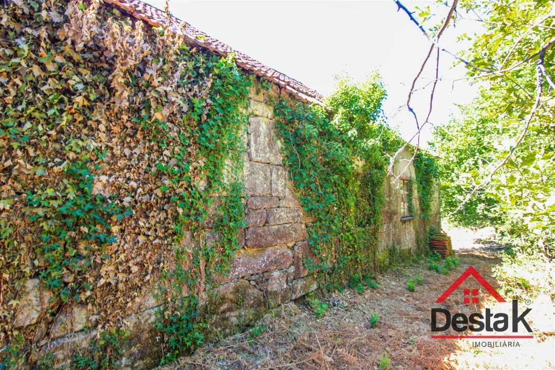 Quinta T0 para Venda em Santa Cruz da Trapa e São Cristóvão de Lafões Foto 16