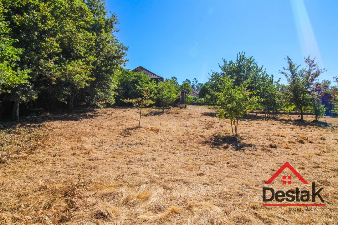 Quinta T0 para Venda em Santa Cruz da Trapa e São Cristóvão de Lafões Foto 37