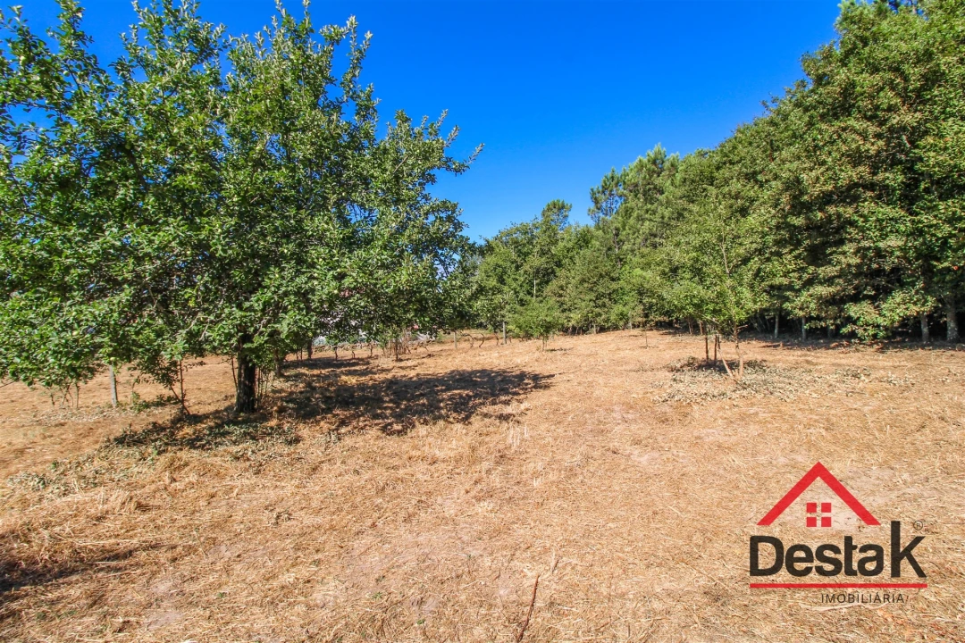 Quinta T0 para Venda em Santa Cruz da Trapa e São Cristóvão de Lafões Foto 29