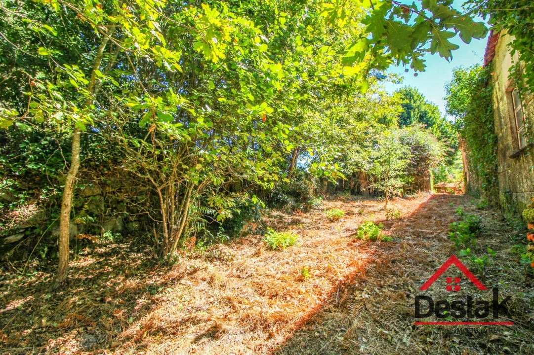 Quinta T0 para Venda em Santa Cruz da Trapa e São Cristóvão de Lafões Foto 43