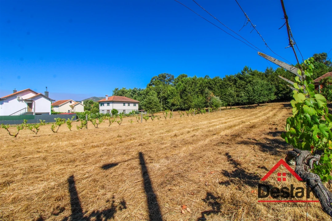 Quinta T0 para Venda em Santa Cruz da Trapa e São Cristóvão de Lafões Foto 6
