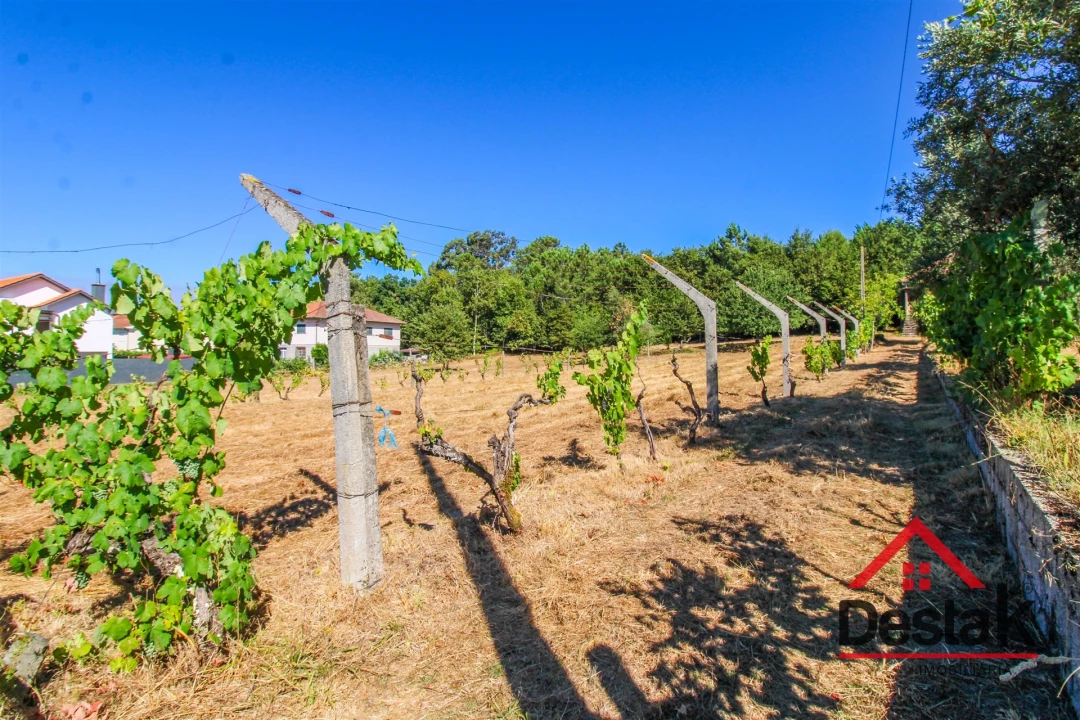Quinta T0 para Venda em Santa Cruz da Trapa e São Cristóvão de Lafões Foto 7