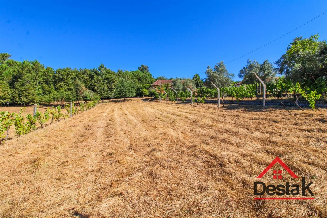 Quinta T0 para Venda em Santa Cruz da Trapa e São Cristóvão de Lafões Foto 15