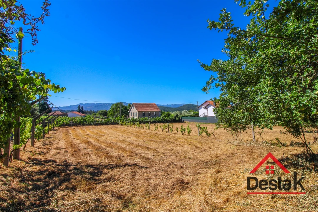 Quinta T0 para Venda em Santa Cruz da Trapa e São Cristóvão de Lafões Foto 49