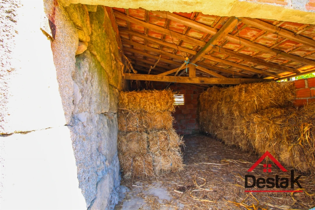 Quinta T0 para Venda em Santa Cruz da Trapa e São Cristóvão de Lafões Foto 19