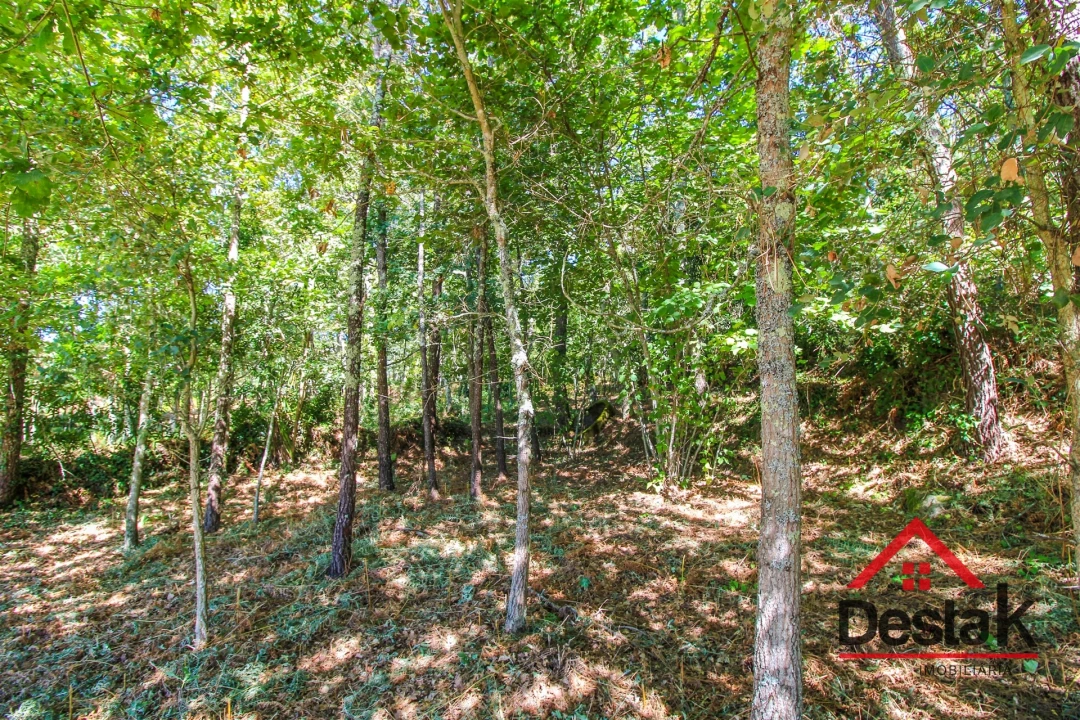 Quinta T0 para Venda em Santa Cruz da Trapa e São Cristóvão de Lafões Foto 38