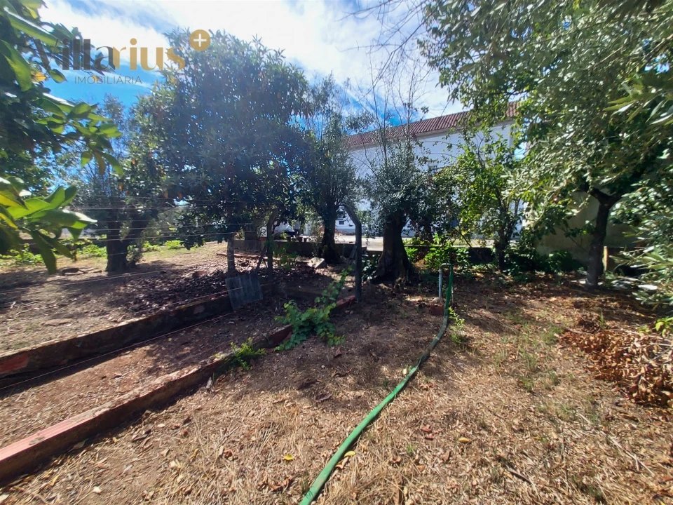 Moradia T3 para Venda em Olalhas Foto 42