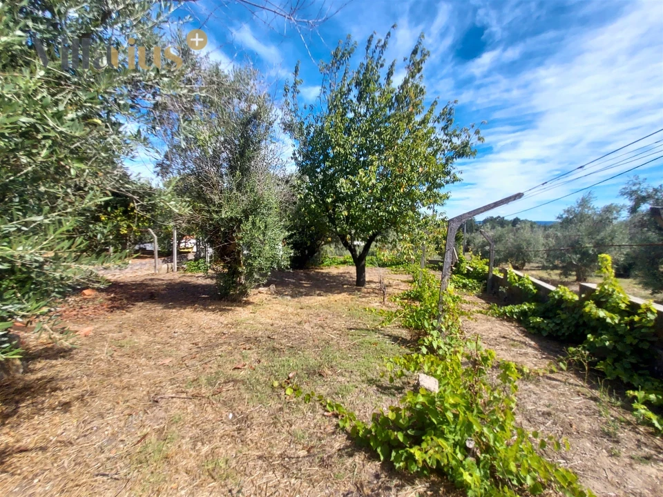 Moradia T3 para Venda em Olalhas Foto 46