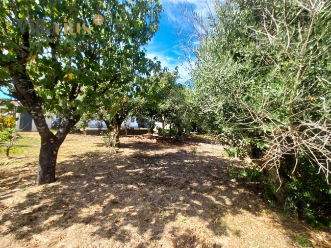 Moradia T3 para Venda em Olalhas Foto 47