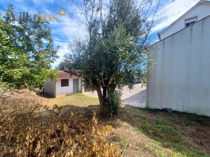 Moradia T3 para Venda em Olalhas Foto 37