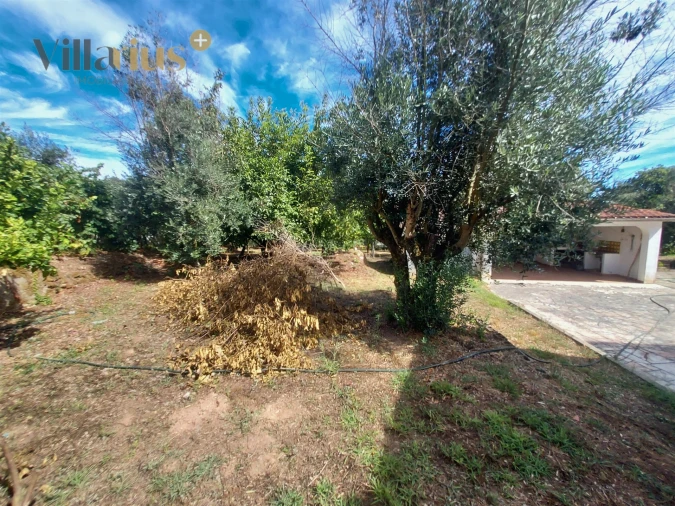 Moradia T3 para Venda em Olalhas Foto 36