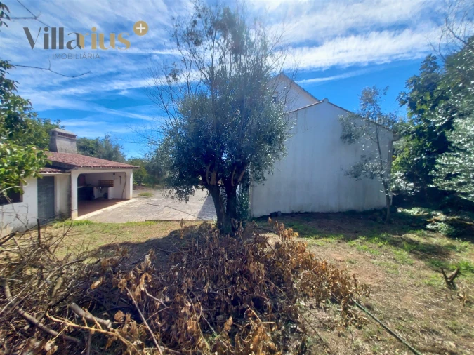 Moradia T3 para Venda em Olalhas Foto 38