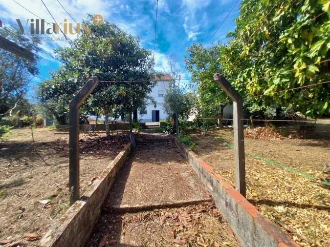 Moradia T3 para Venda em Olalhas Foto 44