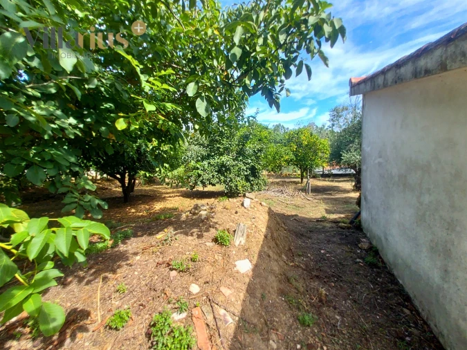 Moradia T3 para Venda em Olalhas Foto 39