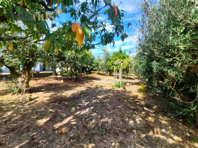 Moradia T3 para Venda em Olalhas Foto 48