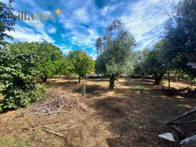 Moradia T3 para Venda em Olalhas Foto 40