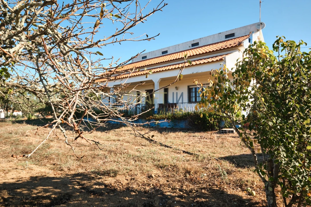 Quinta T3 para Venda em Melides Foto 4