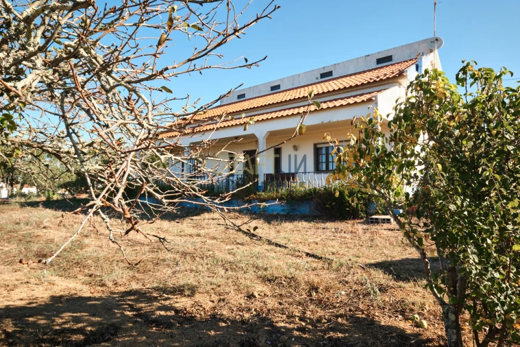 Quinta T3 para Venda em Melides Foto 4