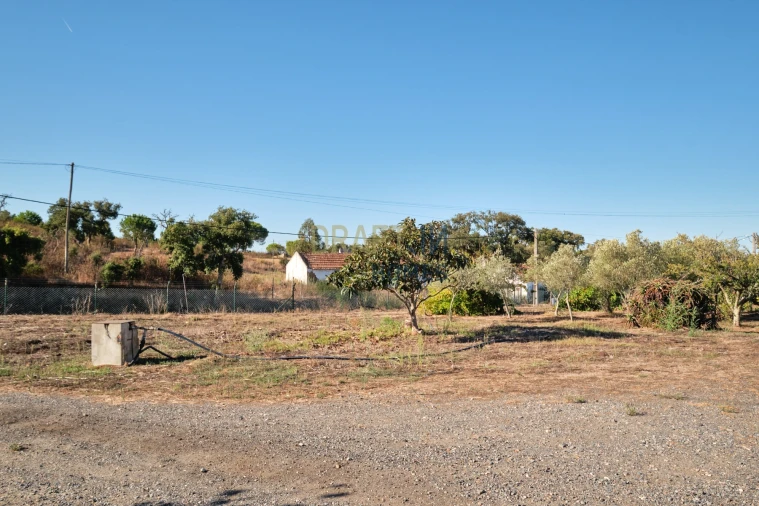 Quinta T3 para Venda em Melides Foto 39