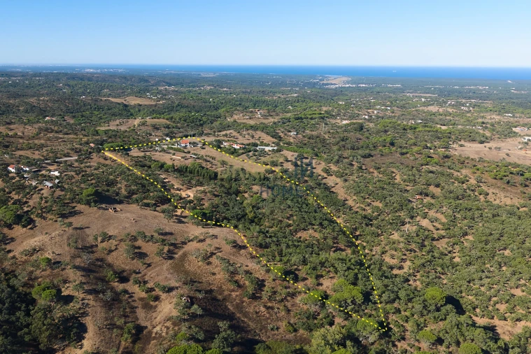 Quinta T3 para Venda em Melides