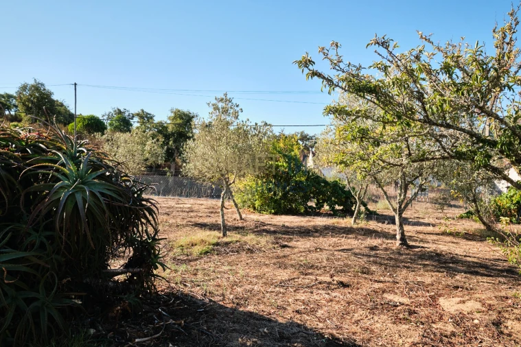 Quinta T3 para Venda em Melides Foto 37