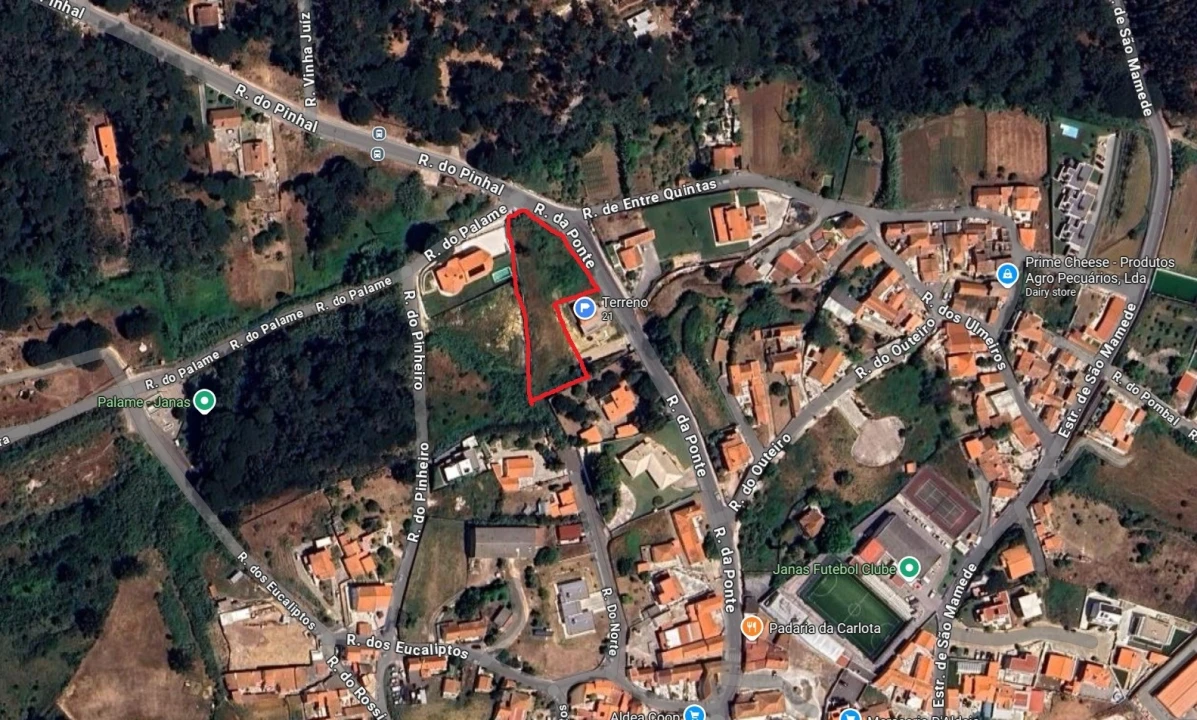 Terreno para Venda em Santa Maria e São Miguel, São Martinho, São Pedro Penaferrim Foto 5