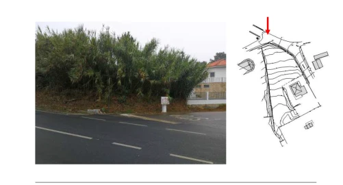 Terreno para Venda em Santa Maria e São Miguel, São Martinho, São Pedro Penaferrim