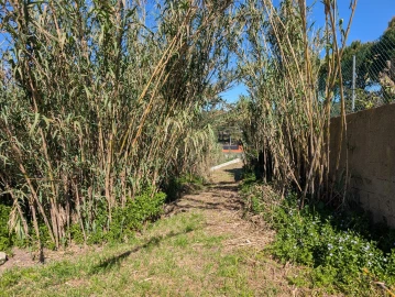 Terreno para Venda em Santa Maria e São Miguel, São Martinho, São Pedro Penaferrim