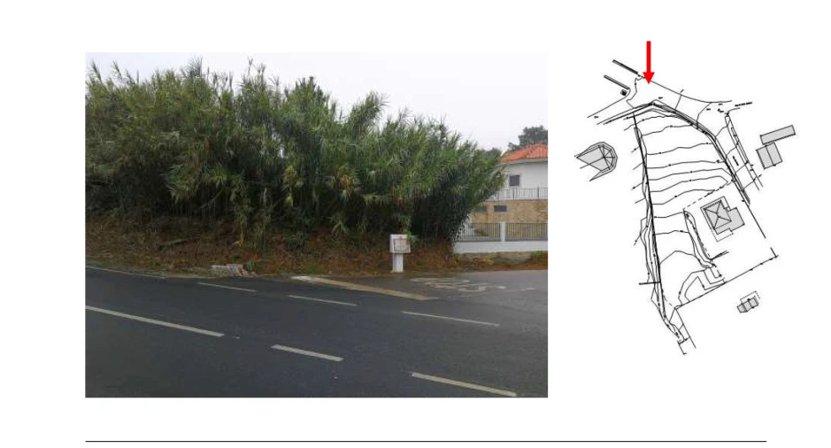 Terreno para Venda em Santa Maria e São Miguel, São Martinho, São Pedro Penaferrim Foto 10