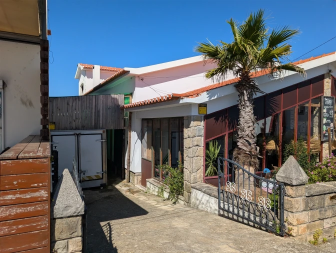 Terreno para Venda em Santa Maria e São Miguel, São Martinho, São Pedro Penaferrim Foto 14