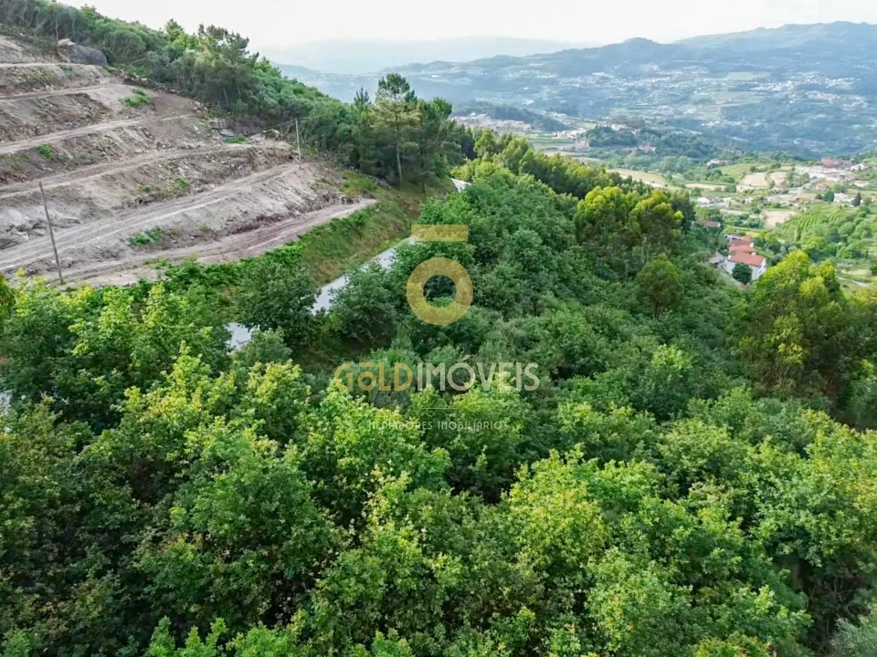 Terreno Agricola ou Rústico para Venda em Tarouquela Foto 3