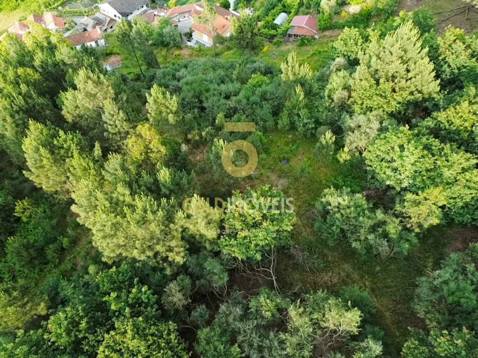 Terreno Agricola ou Rústico para Venda em Tarouquela Foto 6