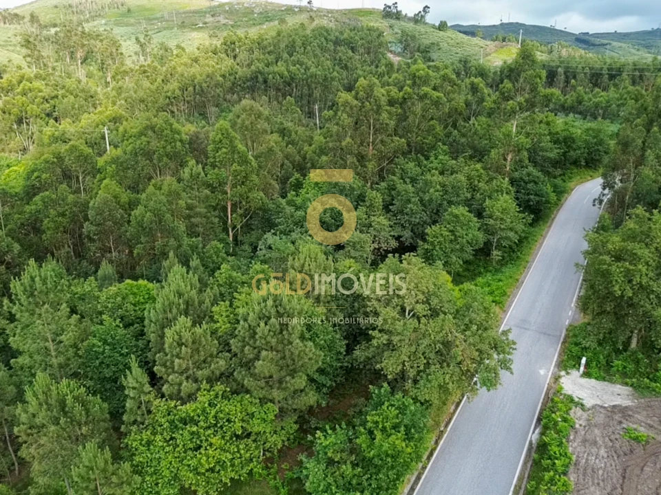 Terreno Agricola ou Rústico para Venda em Tarouquela Foto 9