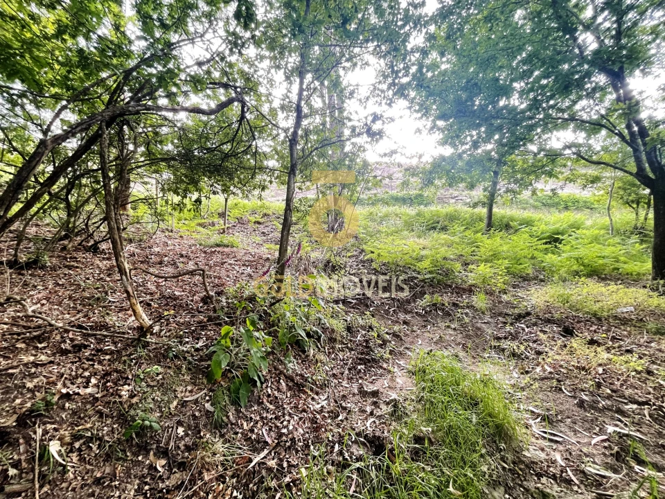 Terreno Agricola ou Rústico para Venda em Tarouquela Foto 8