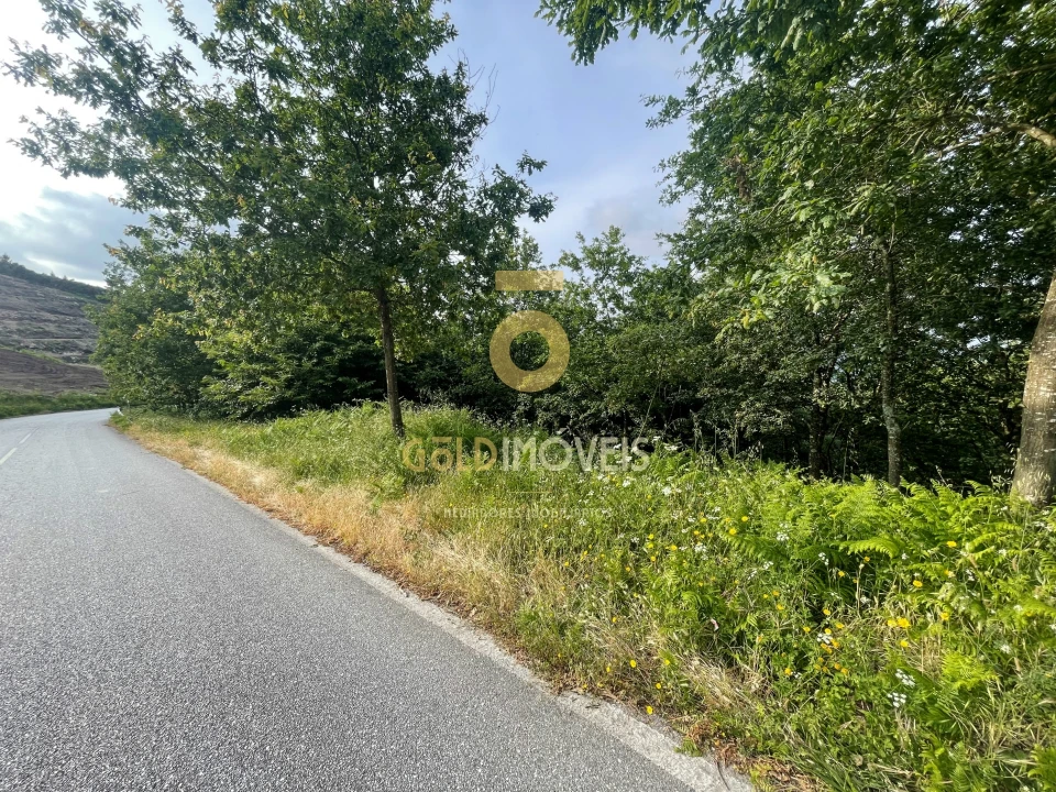 Terreno Agricola ou Rústico para Venda em Tarouquela Foto 14