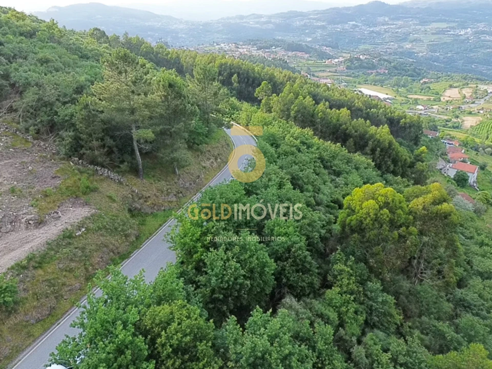 Terreno Agricola ou Rústico para Venda em Tarouquela Foto 2