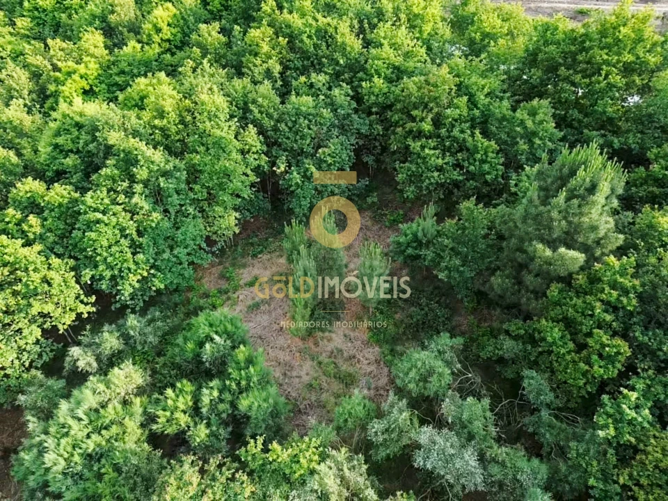 Terreno Agricola ou Rústico para Venda em Tarouquela Foto 4