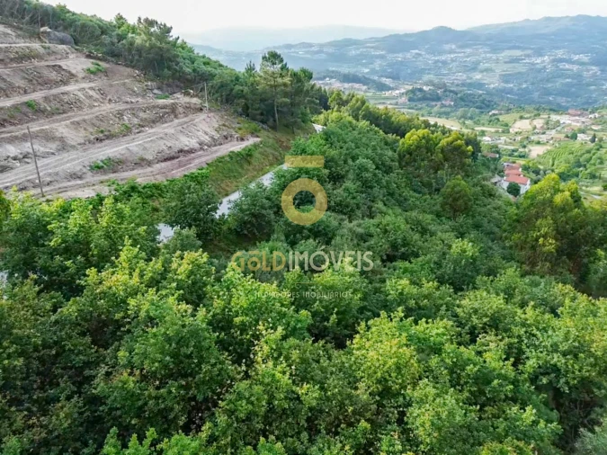 Terreno Agricola ou Rústico para Venda em Tarouquela Foto 3