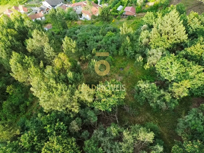Terreno Agricola ou Rústico para Venda em Tarouquela Foto 6