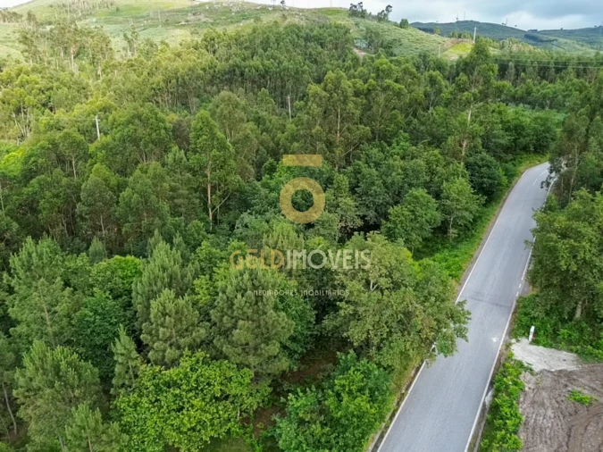 Terreno Agricola ou Rústico para Venda em Tarouquela Foto 9