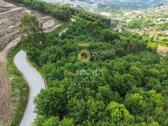 Terreno Agricola ou Rústico para Venda em Tarouquela Foto 13