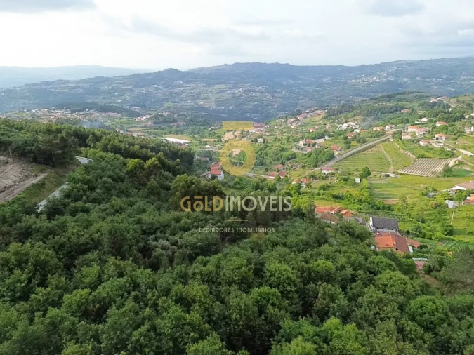 Terreno Agricola ou Rústico para Venda em Tarouquela Foto 12
