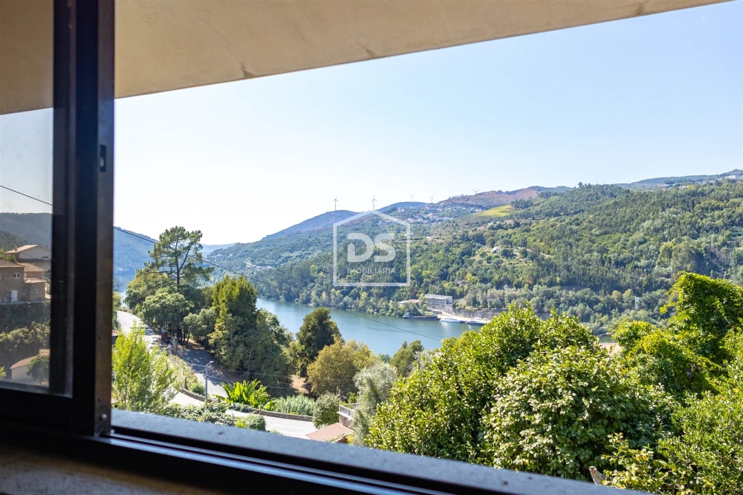 Quinta T0 para Venda em Santa Maria de Sardoura Foto 28