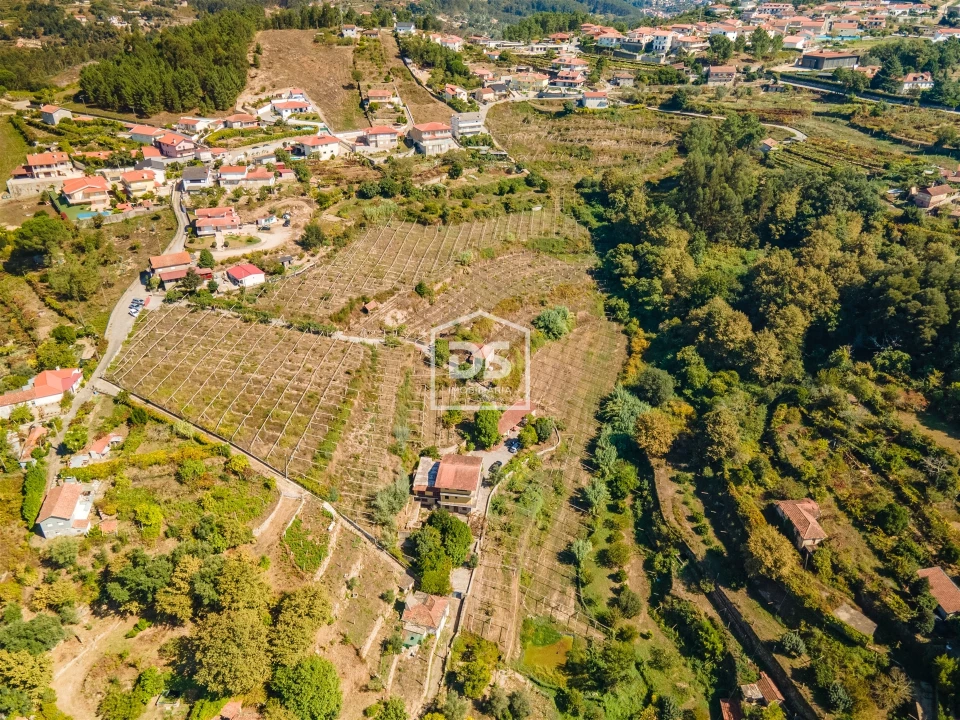 Quinta T0 para Venda em Santa Maria de Sardoura Foto 11